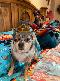 Pet cowboy hat   Dog or cat Southwest Bedazzle clothing